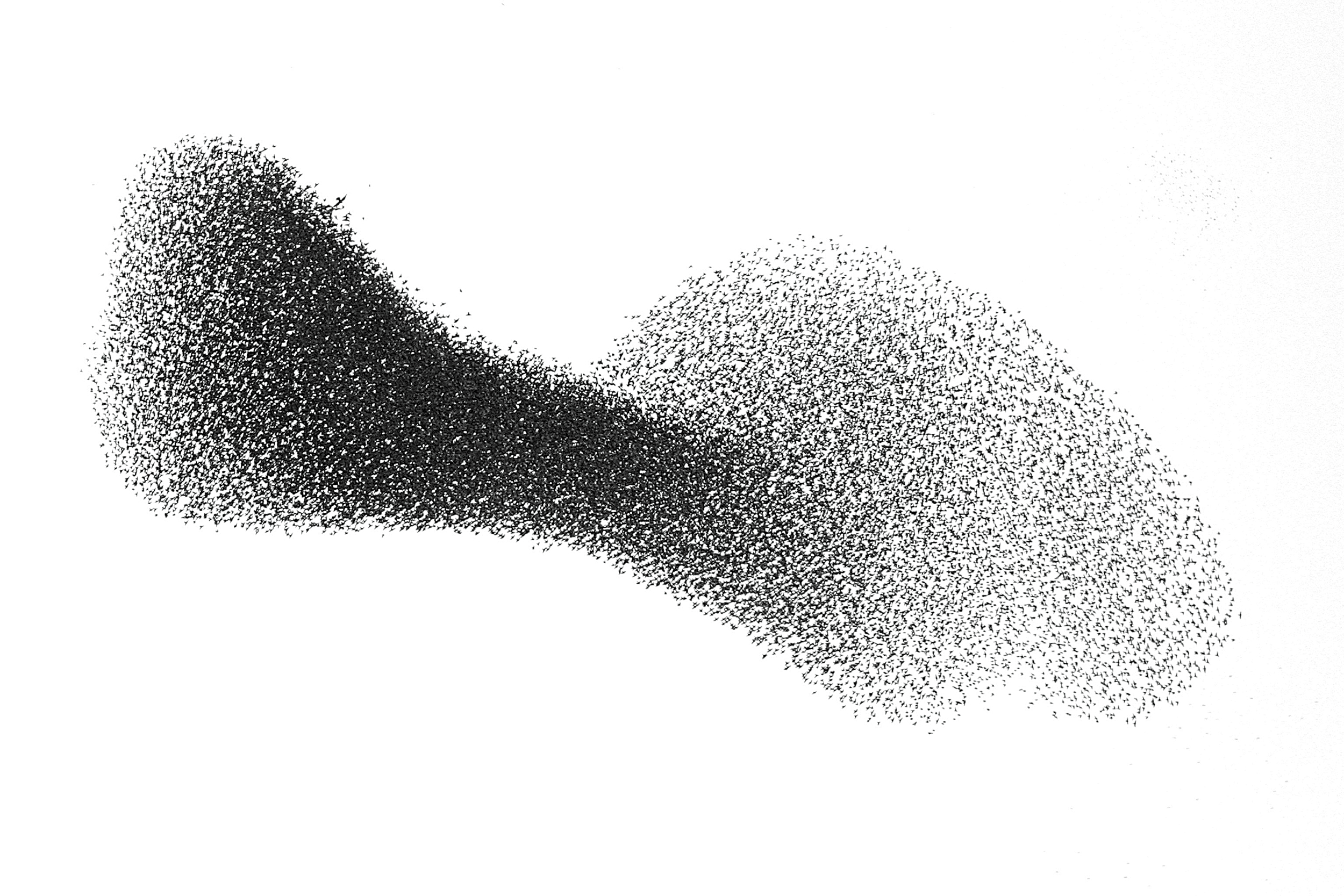 swarm-featured